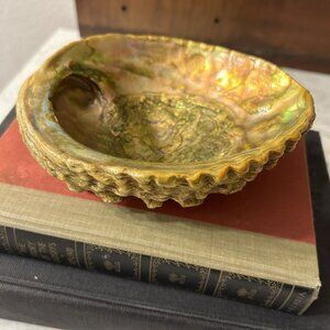 Vintage Abalone Shell Trinket Dish Footed Bowl Wondermold Iridescent Lucite Feet